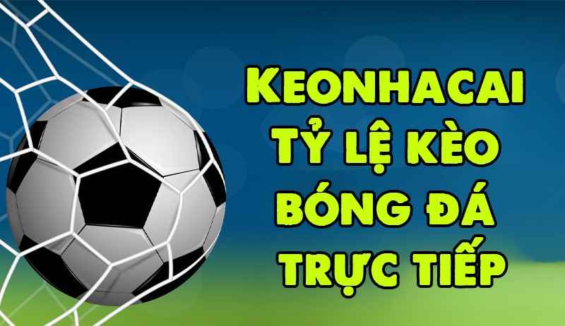 Thông tin chi tiết về kèo nhà cái Fb68